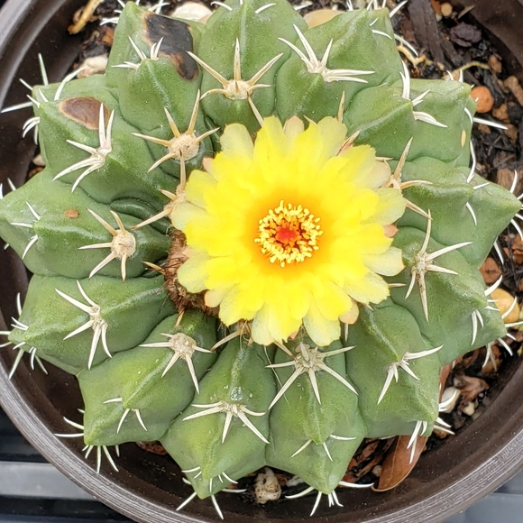 Clothes and stuff - Picture 1 of 1